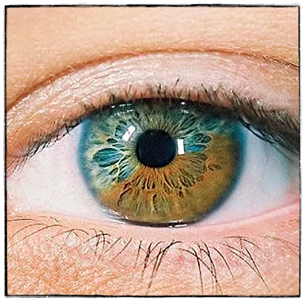 Each Other’s Eyes The Journey