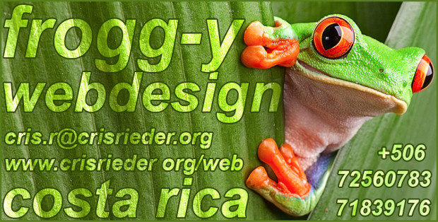 _Frogg-y Webdesign _gen.Business Card_vJes